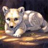 White Wolf Pup paint by numbers