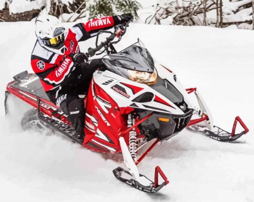 Yamaha Snowmobile paint by numbers