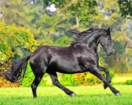 Adorable Friesian Horse Animal paint by numbers