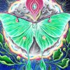 Aesthetic Luna Moth paint by numbers