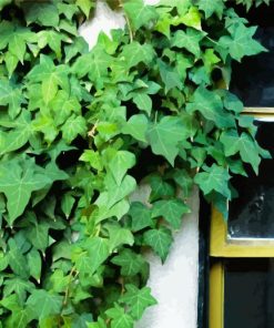 Green Vines Plants paint by numbers