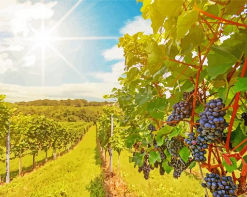 Aesthetic Italy Vineyard Landscape paint by number