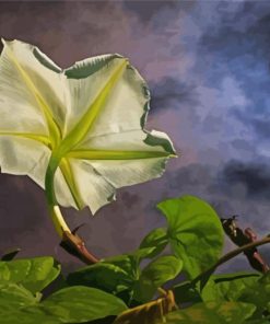 Aesthetic Moon Flower Art paint by numbers