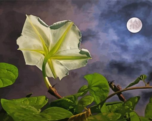 Aesthetic Moon Flower Art paint by numbers