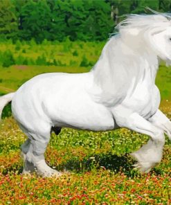 White Friesian Horse paint by numbers