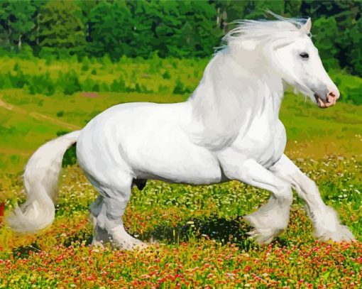 White Friesian Horse paint by numbers