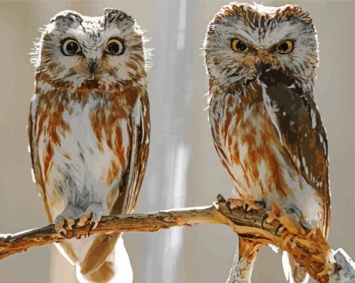 Owl Couple Birds Art paint by numbers