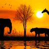 African Animals Sunset paint by numbers