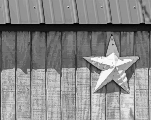 Black And White Barn Star paint by number