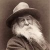 Black And White American Poet Walt Whitman paint by numbers