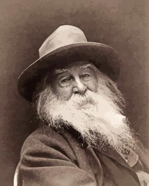 Black And White American Poet Walt Whitman paint by numbers