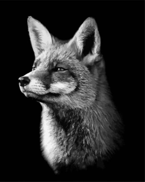 Black And white Fox Animal paint by numbers