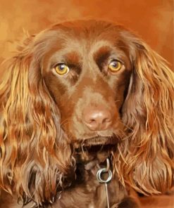 Brown Boykin Spaniel Dog paint by numbers