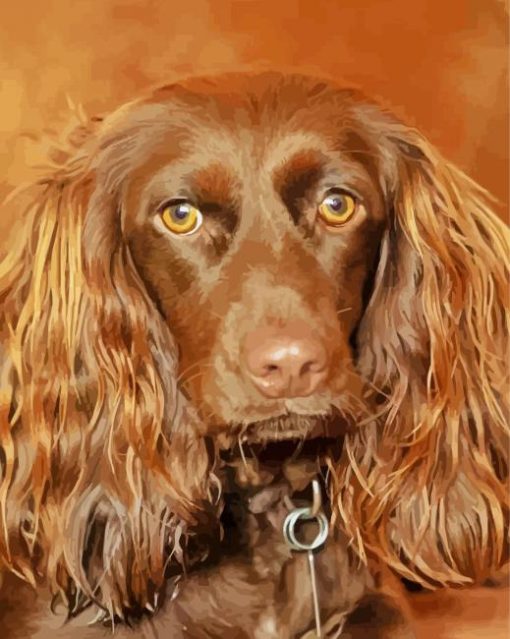 Brown Boykin Spaniel Dog paint by numbers