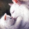 Cat Mother And Her Baby Kitten Art paint by numbers