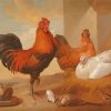 Chickens And Rooster Art paint by number