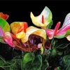 Colorful Artistic Lilies paint by number