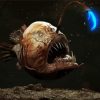 Deep Sea Fish paint by numbers