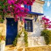 Floral Greek Door paint by numbers