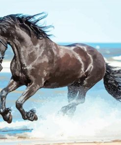 Friesian Horse On Beach paint by numbers