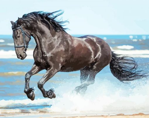 Friesian Horse On Beach paint by numbers