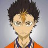 Haikyuu Nishinoya paint by numbers