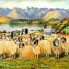 Herdwick Sheep Art paint by numbers