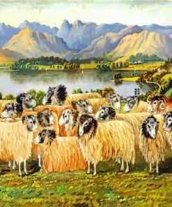 Herdwick Sheep Art paint by numbers