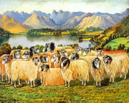 Herdwick Sheep Art paint by numbers