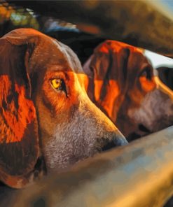 Hounds Hunt Dogs paint by numbers