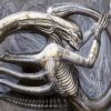 Hr Giger Xenomorph Alien paint by numbers