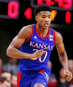 Kansas Jayhawks Basketballer paint by numbers