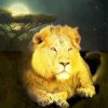 Lion At Night Art paint by numbers