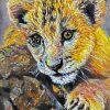 Lion Cub Head Art paint by numbers