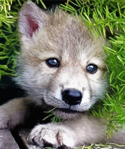 Little Wolf Pups paint by numbers