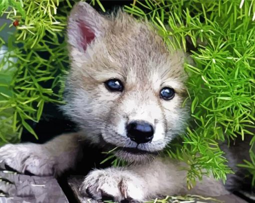 Little Wolf Pups paint by numbers