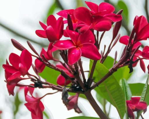 Pink Flowers Flowering Tree paint by numbers