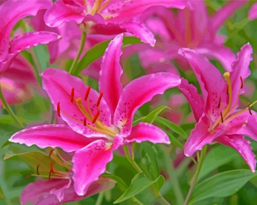 Pink Lilies French Flowers paint by numbers