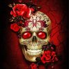 Red Flowers Skull paint by number