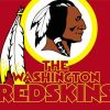 Redskins Logo paint by numbers