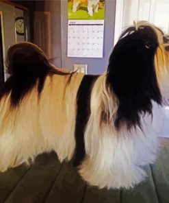 Shih Tzu Black And White paint by numbers