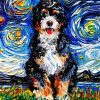 Starry Night Bernese paint by number