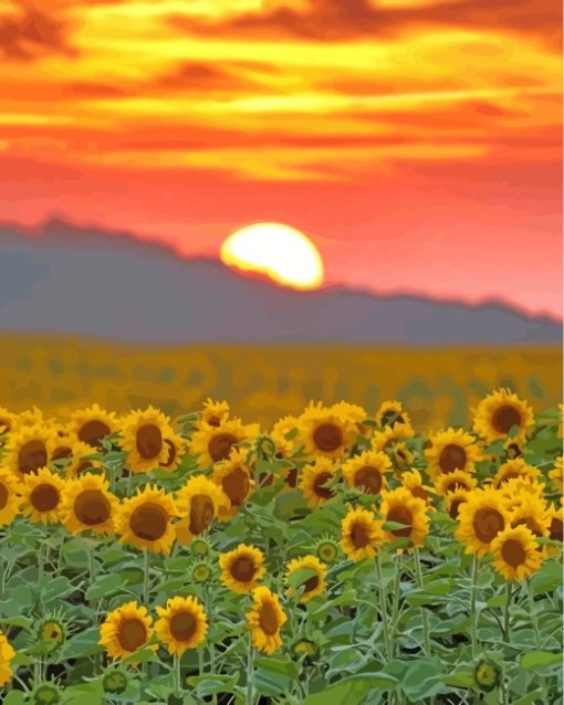 Sunflowers Flowers At Sunset paint by numbers