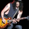 The Guitarist Slash paint by number