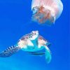 Turtle And Jelly Fish paint by number