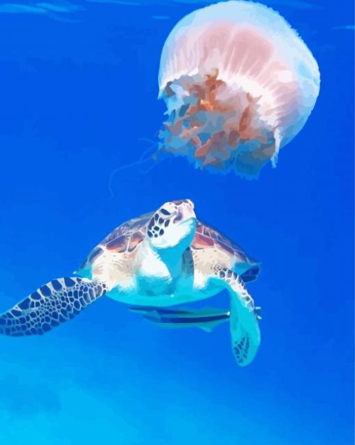 Turtle And Jelly Fish paint by number