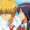 Usui Takumi And Misaki Ayuzawa paint by numbers