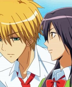 Usui Takumi And Misaki Ayuzawa paint by numbers