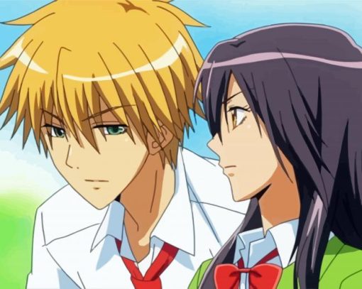 Usui Takumi And Misaki Ayuzawa paint by numbers