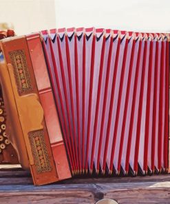 Vintage Pink Accordion paint by number